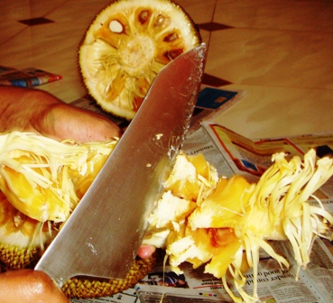 howtocutjackfruit_chop the end of each fruit